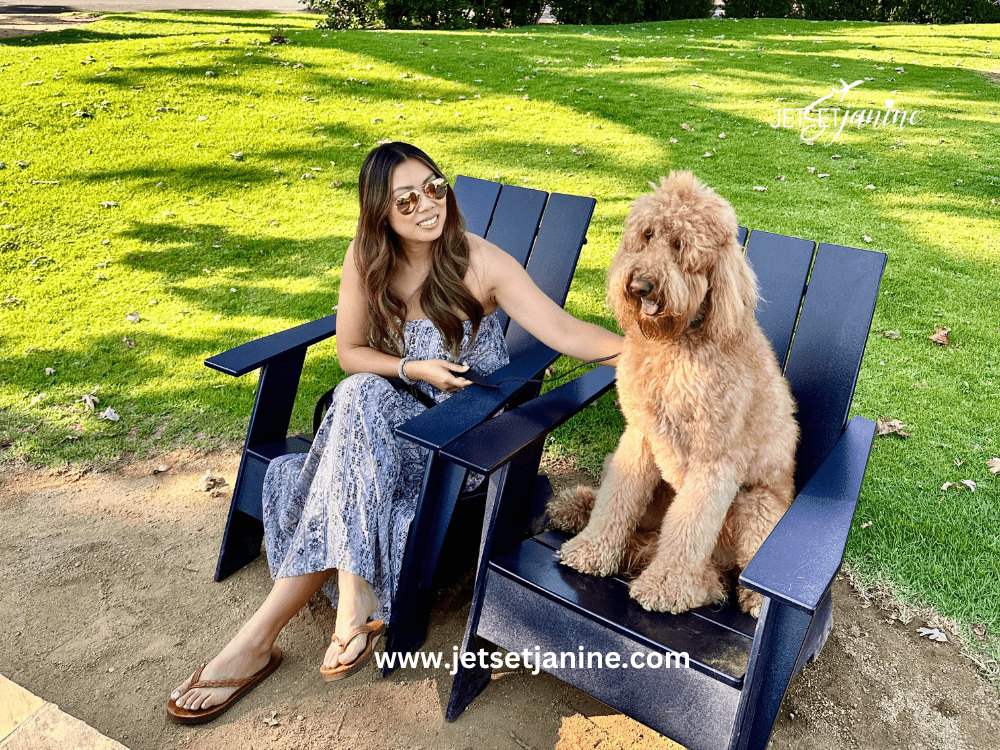 Best Dog Friendly Places In Ojai 4 Places 5 Activities best-dog-friendly-places-in-ojai-4-places-5-activities
